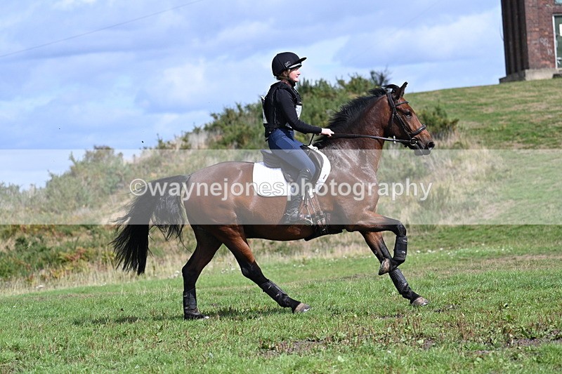 WJ7_1908 - Time 13:17 to 13:53