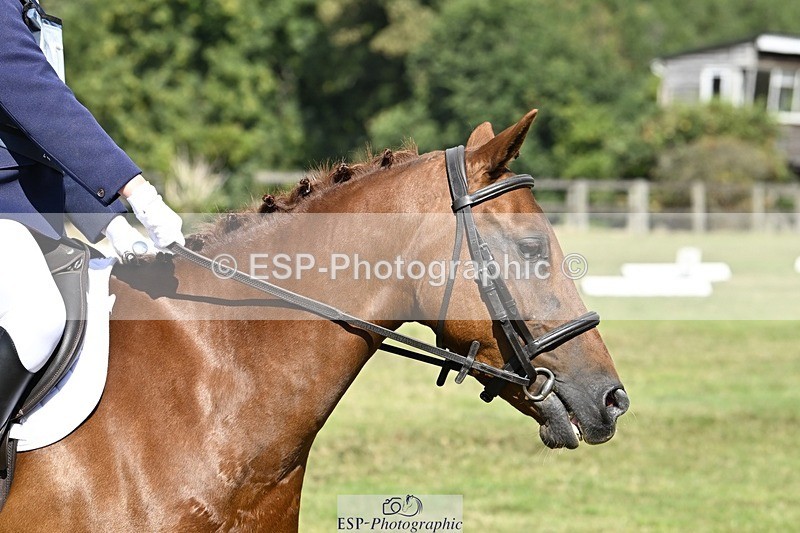 250822A-112007-22210 - DR 11.00 to 12.00