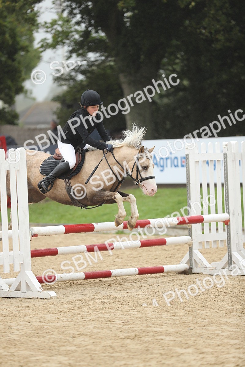 SBM_73832 - J16 - Junior Pony 75cm Championship