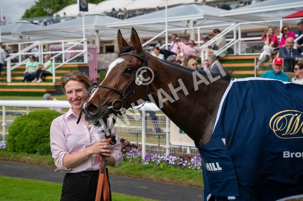 310525-Race 4-Scenic-7872 - Race 4 3.15pm William Hill Bronte Cup Fillies' Stakes