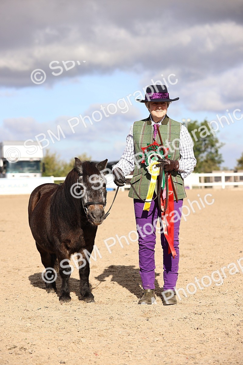 SBM_08546 - Class 402 - IH Veteran Pony