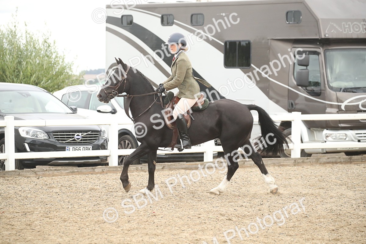 SBM_18294 - Class 509a - Working Veteran - 80cm (15-19)