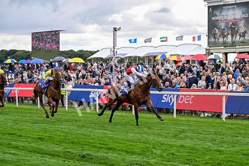 210826-Race 1-Blue Courvoisier-4970 - Race 1 13.50pm Sky Bet Mile Handicap