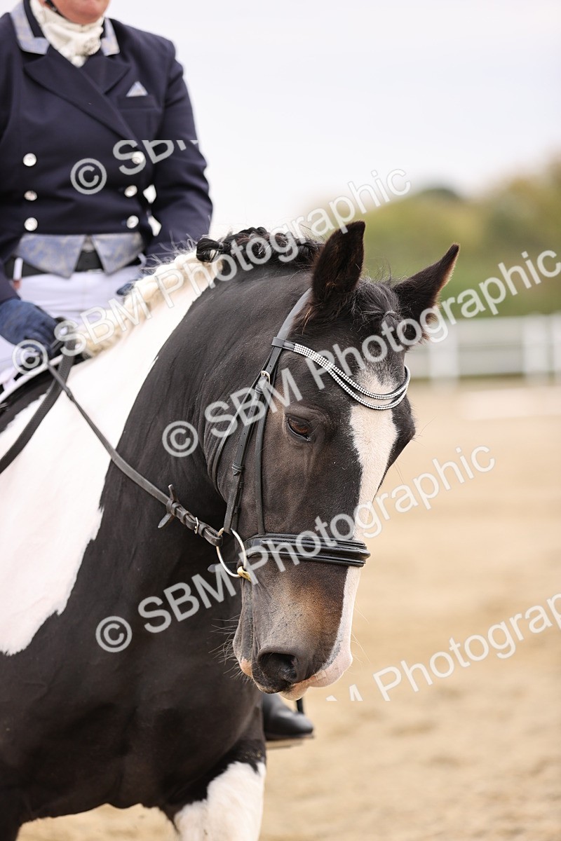 SBM_001137 - Prelim 3