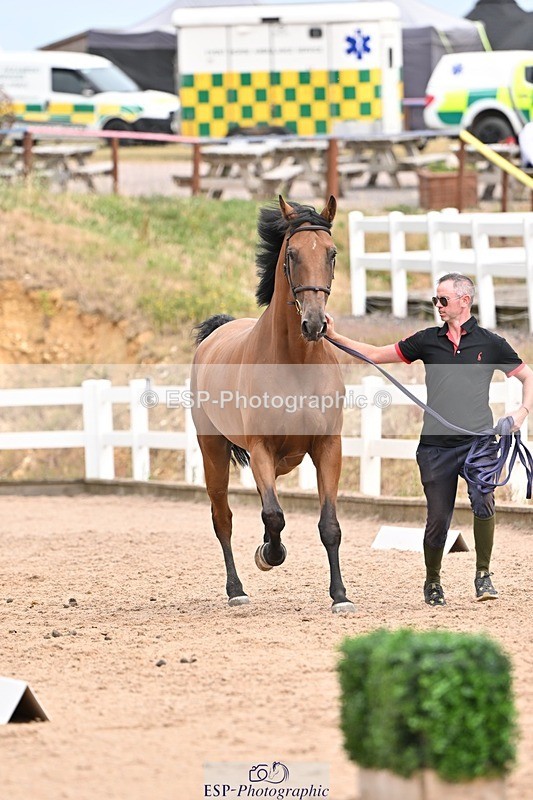 250716-153442-02023 - Trot Up 3.30 to 4.30