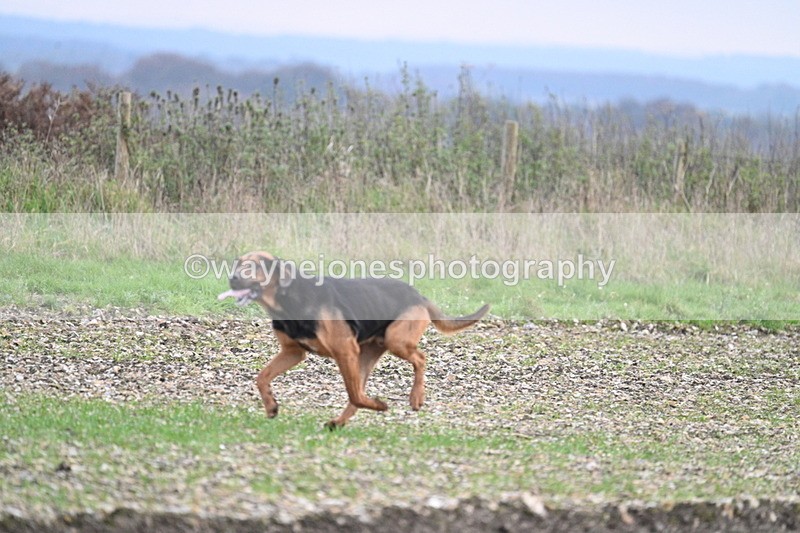 WJ7_0200 - Camera 1 & Last fence