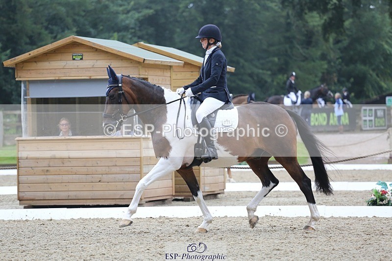240720-145738-06265 - 124-Sophie_Savage-Two_Tone_Ted