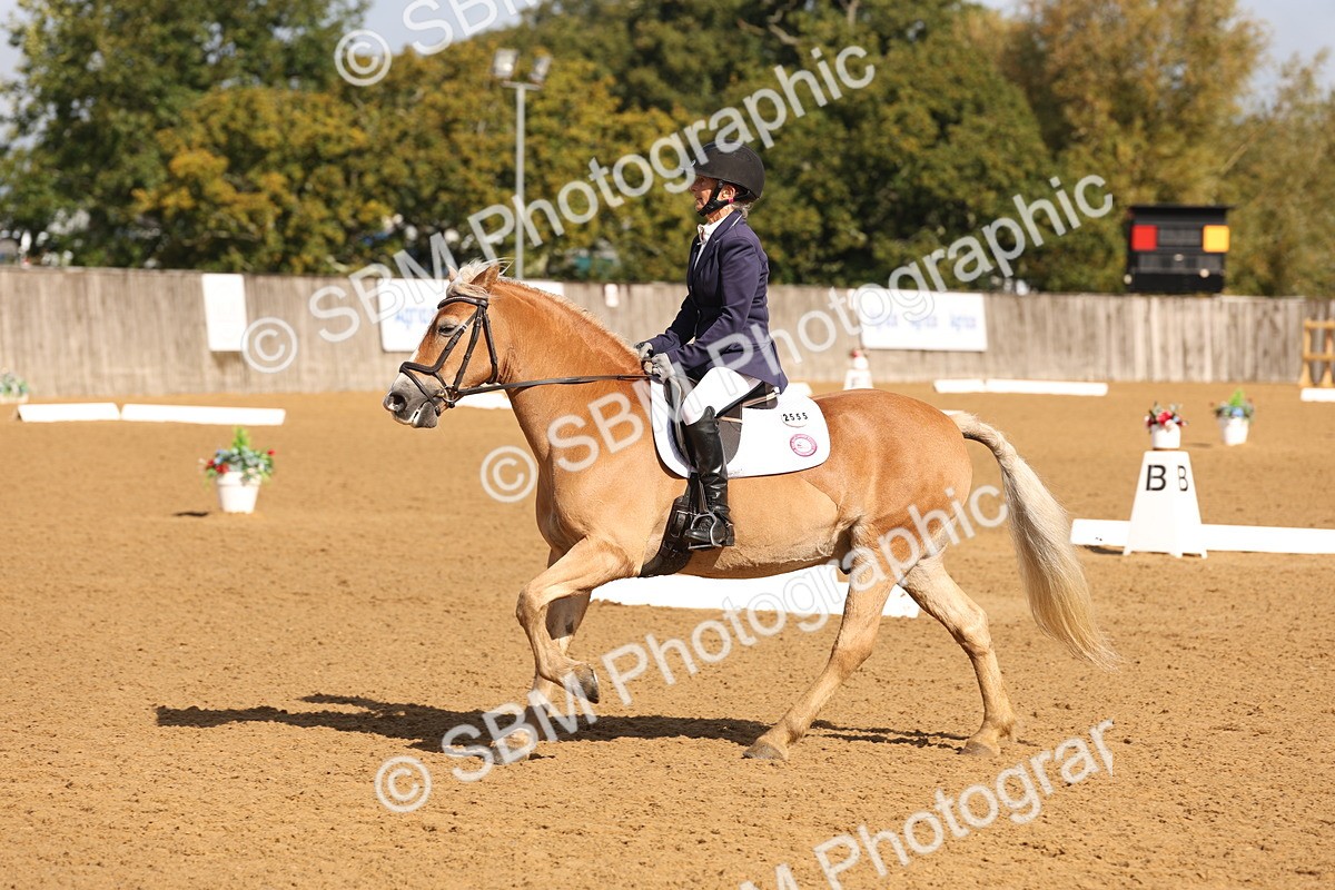 SBM_37684 - D18 - Grand Tour Championship Novice 2