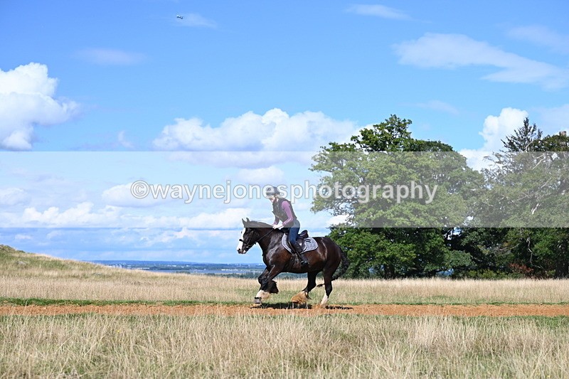 DSC_0118 - Time at Statue 15:58 to 16:05
