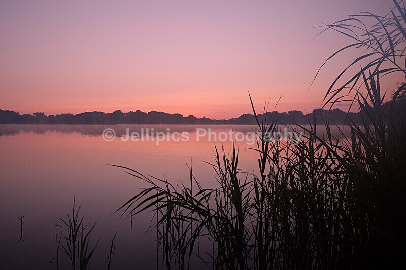  - Landscapes