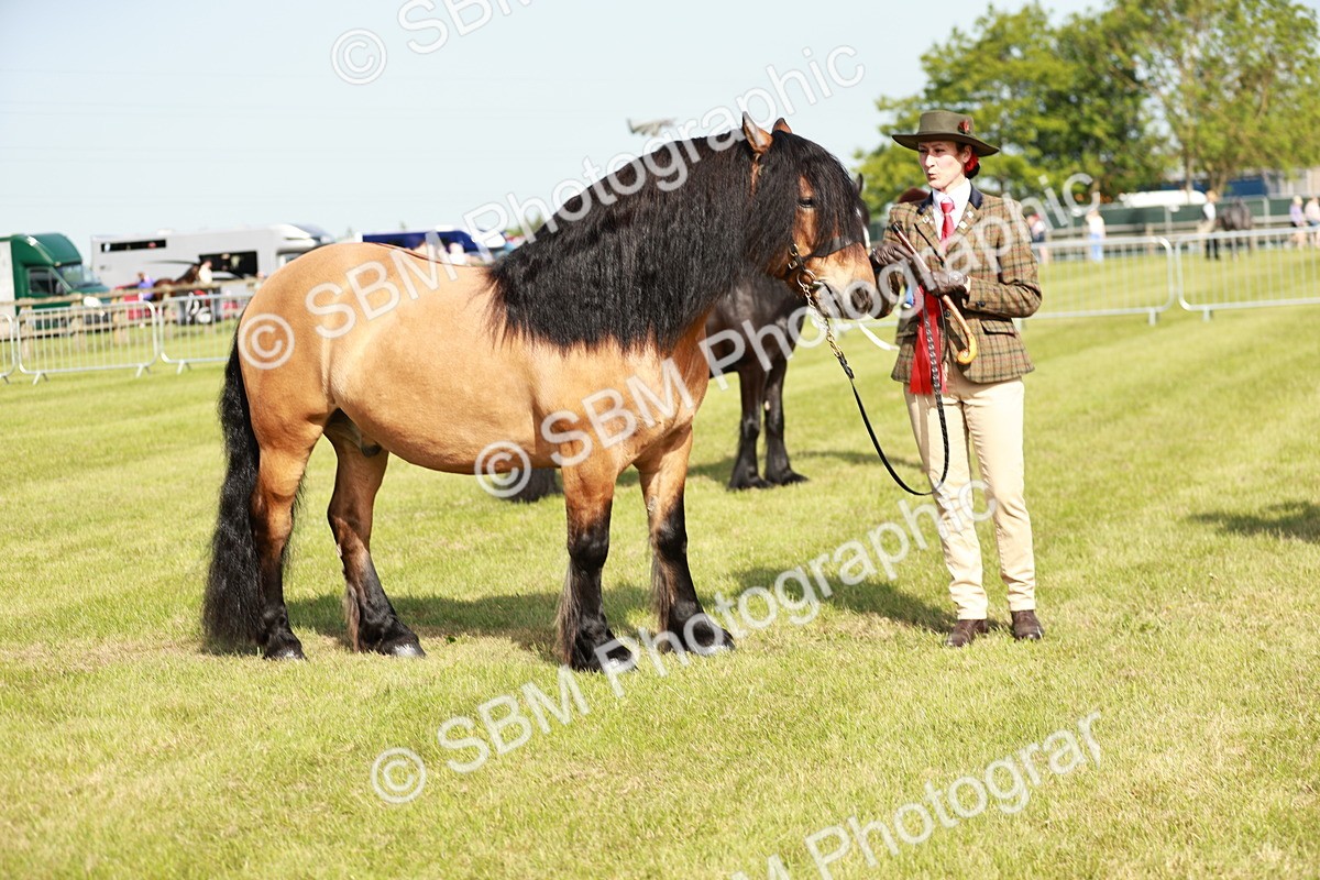SBM_00863