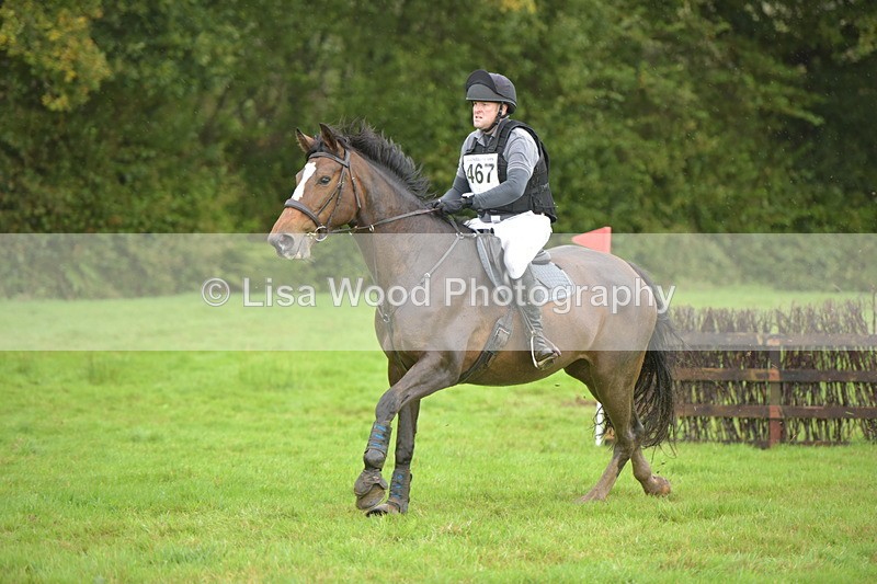 RAY_0522 - Class 4: 80cm: Double of Brushes