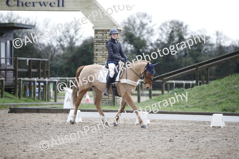 20260127-0315 - Class 16 - BD Novice 2