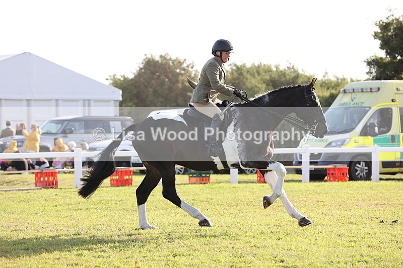 JPP_3462 - Class 22: Working Hunter 90cm