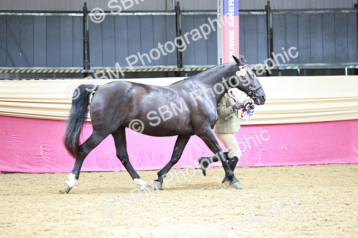 SBM_01103 - Class 2A - Area IH Veteran