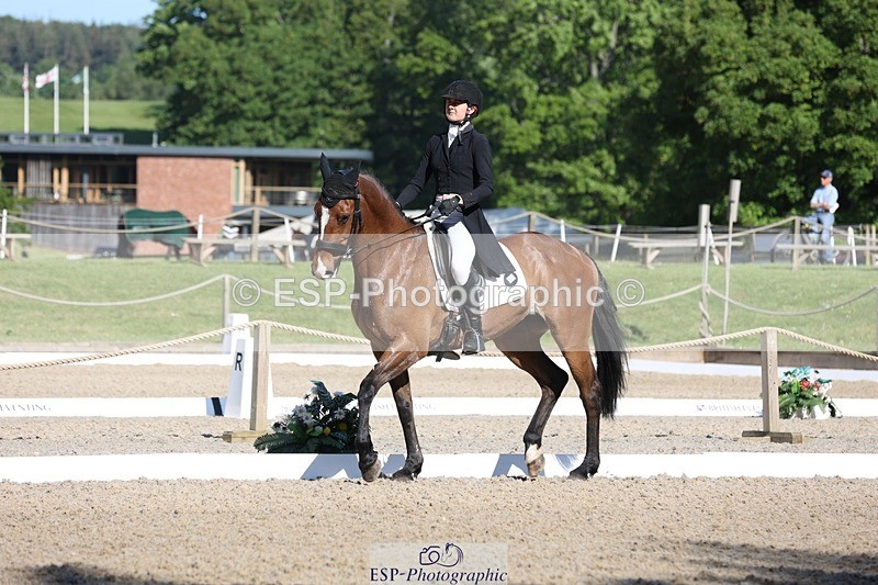 230526-090708-04999 - 352-TEQUILA_SUNRISE-Pippa_Taylor-WEDTrotUp+DR