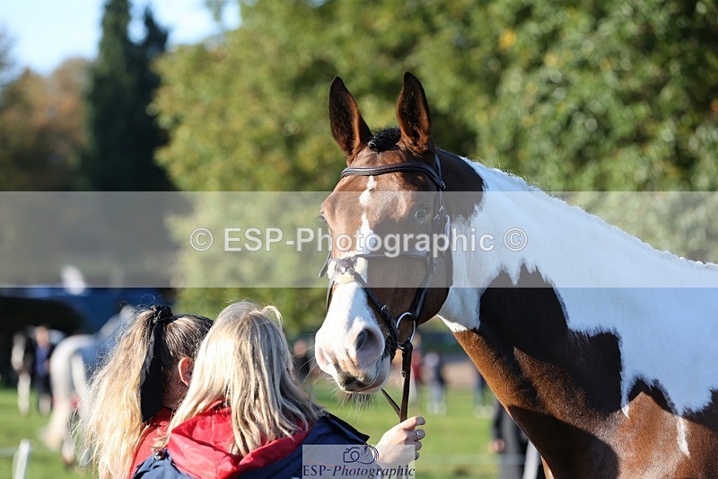 241027-090411-15006 - 304-Rachel.Brockington-LYNWOOD.CLEAR.CUT