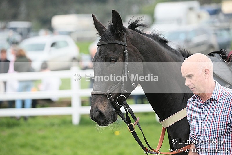 PtP 210418 144 - South & West Wilts Point-to-Point Larkhill 21/04/18