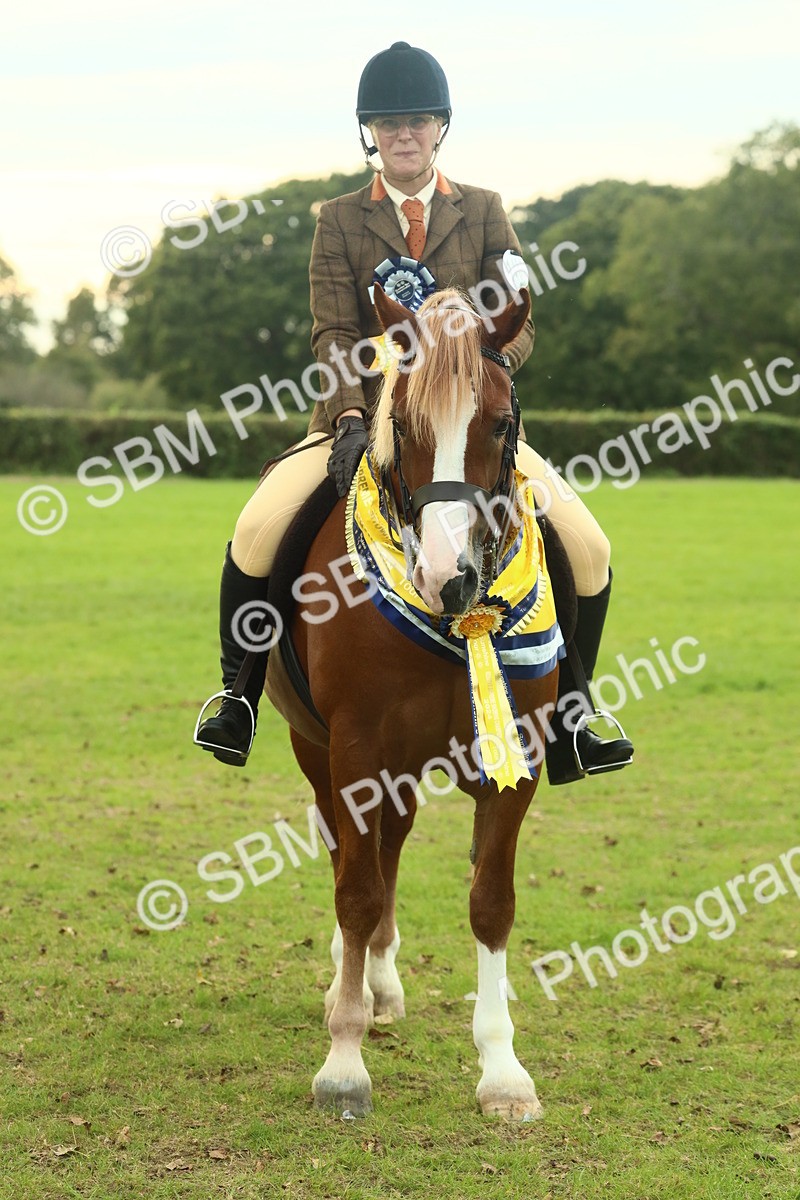 SBM_75312 - Super Supreme Championship