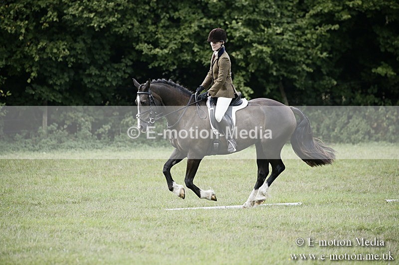 BVR090918 286 - BVRC Dressage and Show Jumping 09/09/18