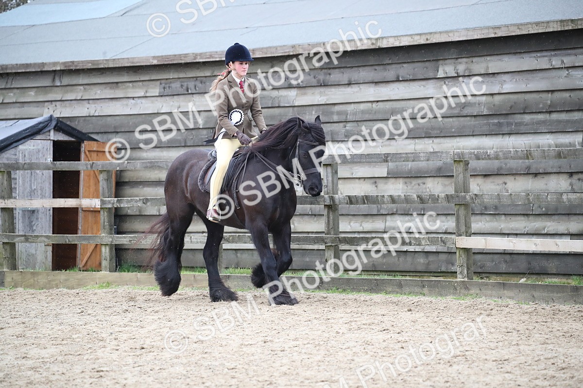 SBM_007336 - Class 10-13 - RIHS Small Large Breeds