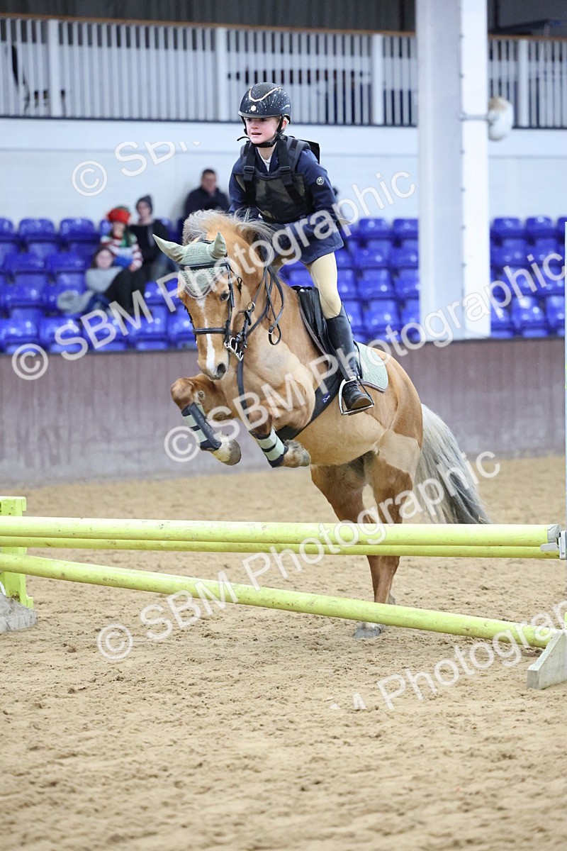 SBM_000993 - Class 3 - Christmas Tree Stakes - 60cm