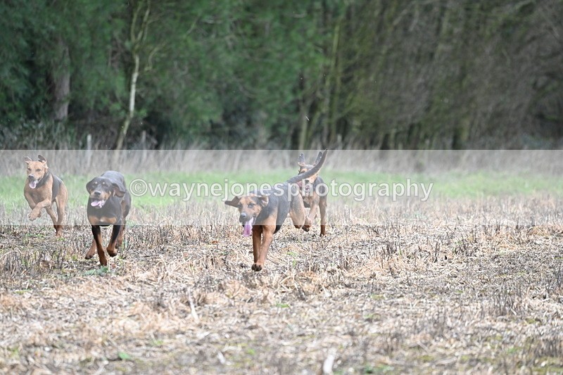 WJ6_9427 - Line Four