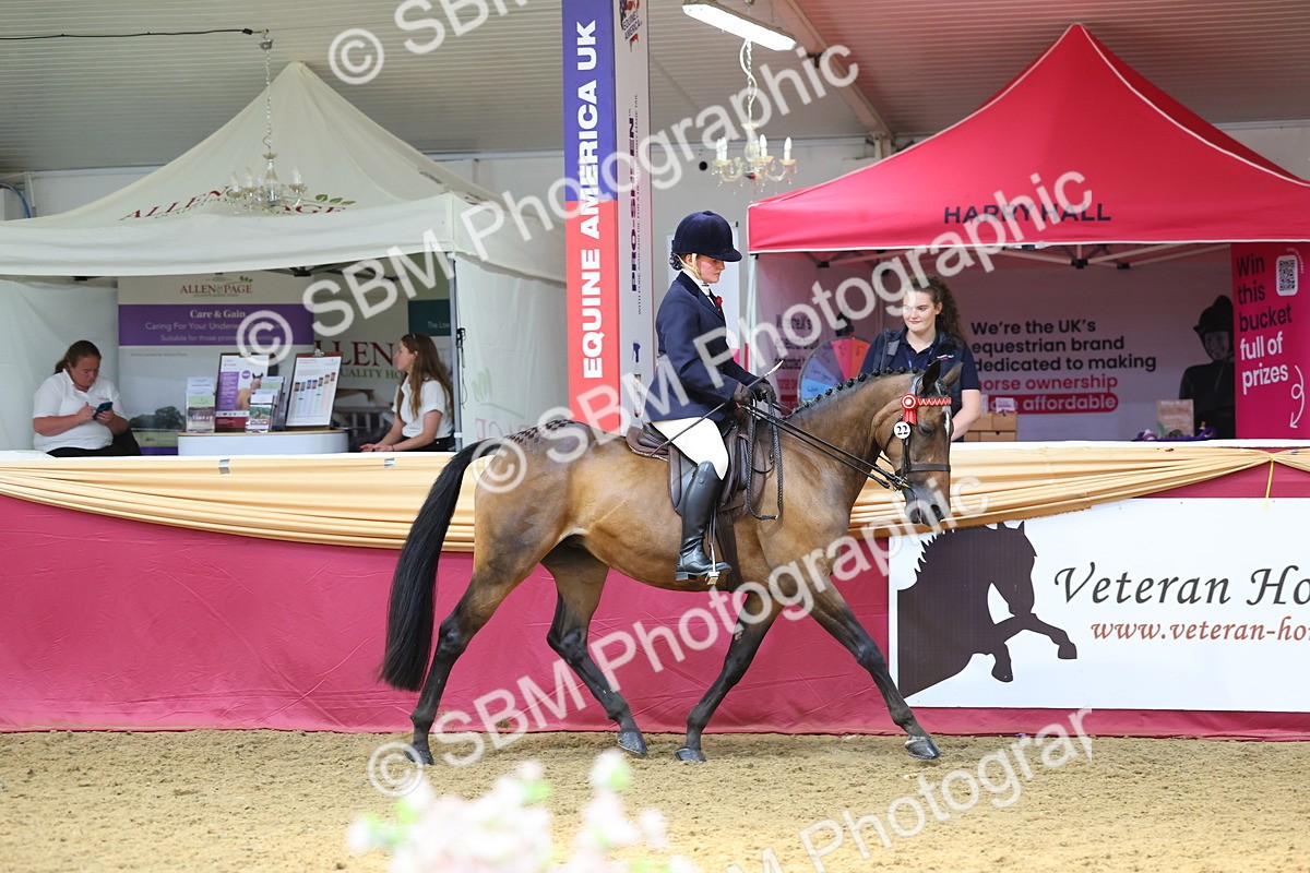 SBM_24033 - Class 905 - Supreme Final - Ridden Veteran