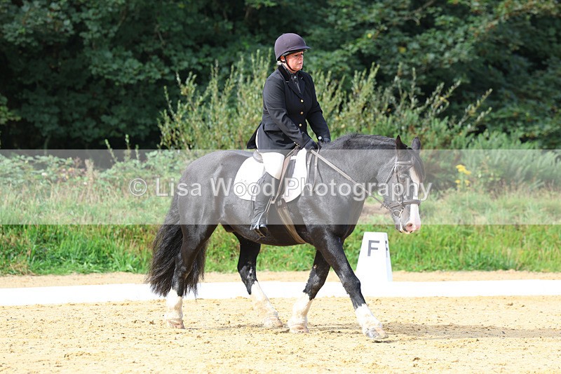 3E7A2339 - Class 1: Intro 4 2024 section A