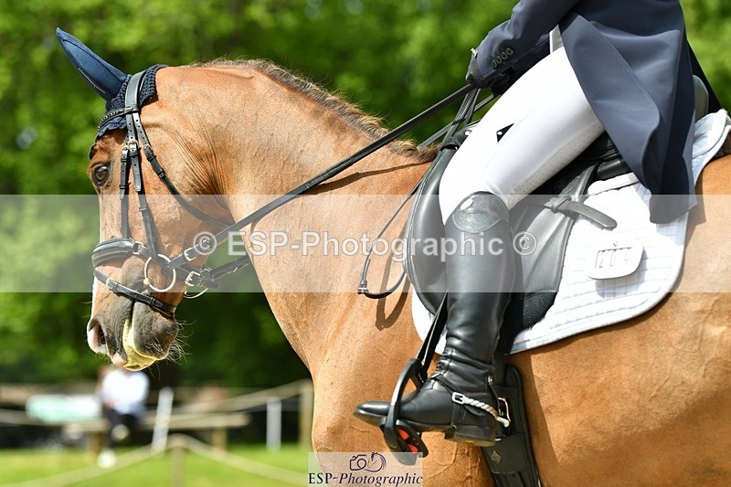 230525-115354-04119 - 204-INDIAN_GIRL_G-Jasmine_Underwood-WEDTrotUp+DR