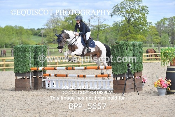 BPP_5657 - CLASS 24 SUN Senior BritiNovice/ 90cm Open