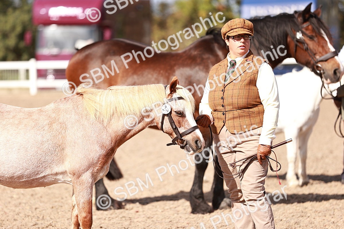 SBM_22905 - Class 706 - IH Veteran