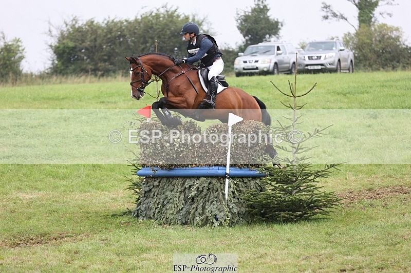 240901A-124610-08906 - 308-Tommy.Greengard-MBF.GOOGLE