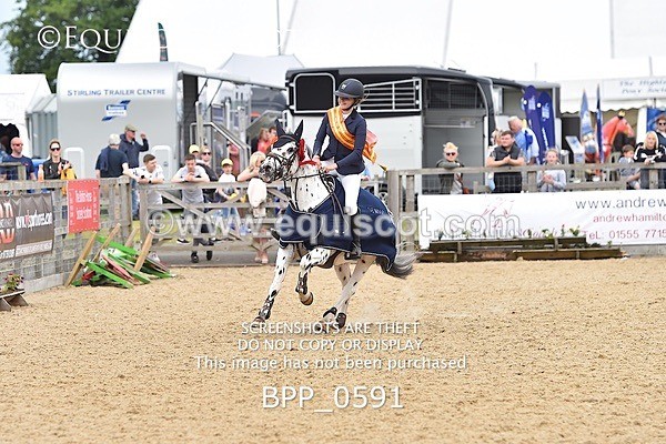BPP_0591 - RHS 2019 Selection - *Just some random spectator shots so Lucky Dip if you are there!