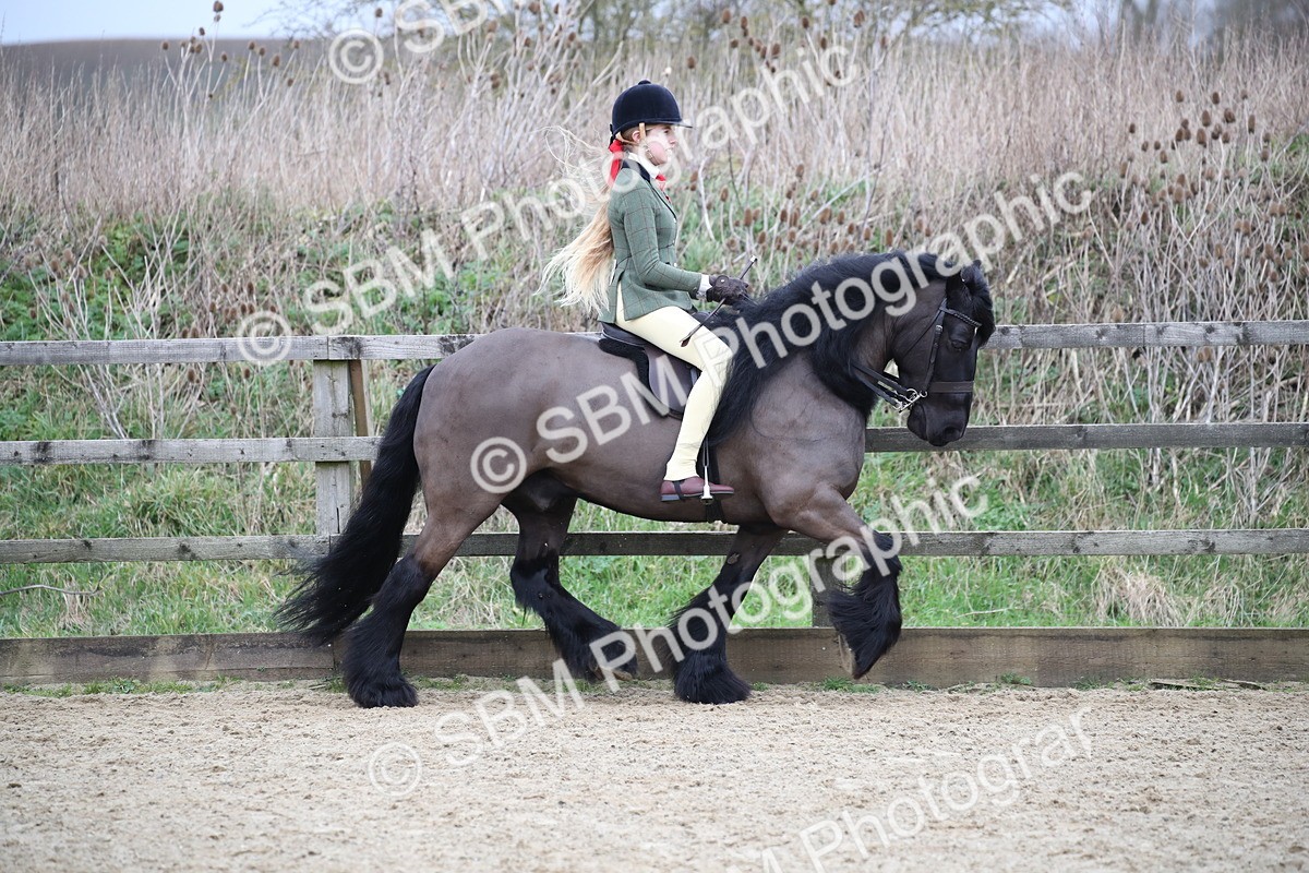 SBM_006063 - Class 10-13 - RIHS Small Large Breeds