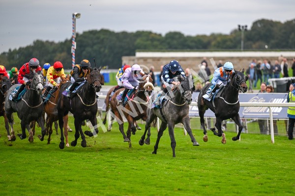 101025-Race 7-Sky Advocate-7154 - Race 7 PJ Staffing Group Apprentice Handicap at York