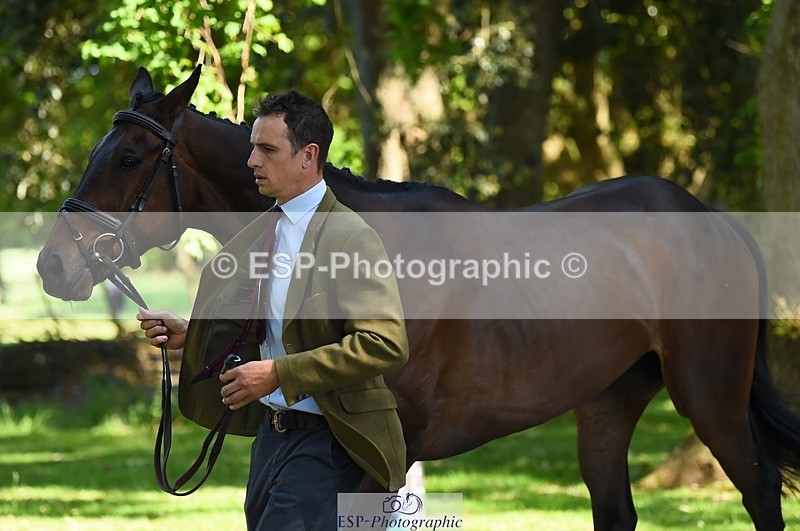 230524-155028-00538 - 380-PUBLIC_ADDRESS-Tom_Strawson-WEDTrotUp+DR