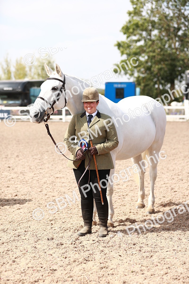 SBM_13300 - Class 208 IH Veteran Horse
