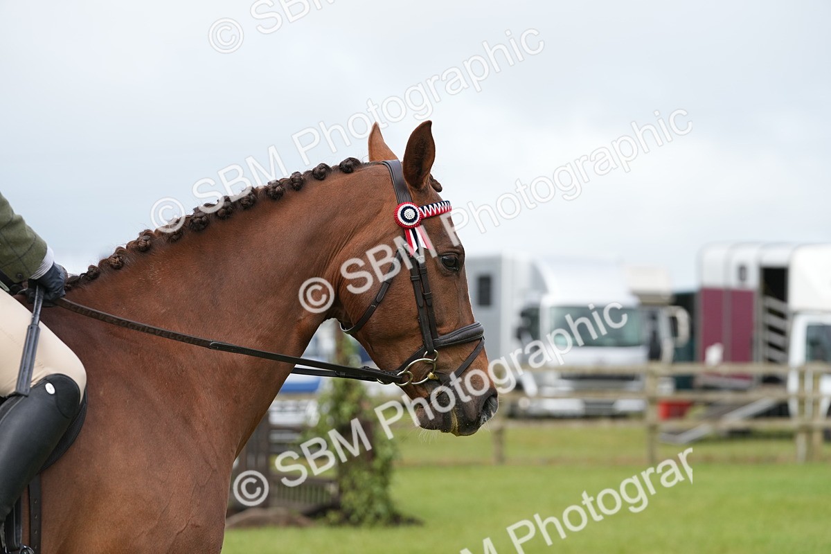 SBM_10607 - Class 97-98 - LIHS BSHA Rising Star Working Show Horse Hunter