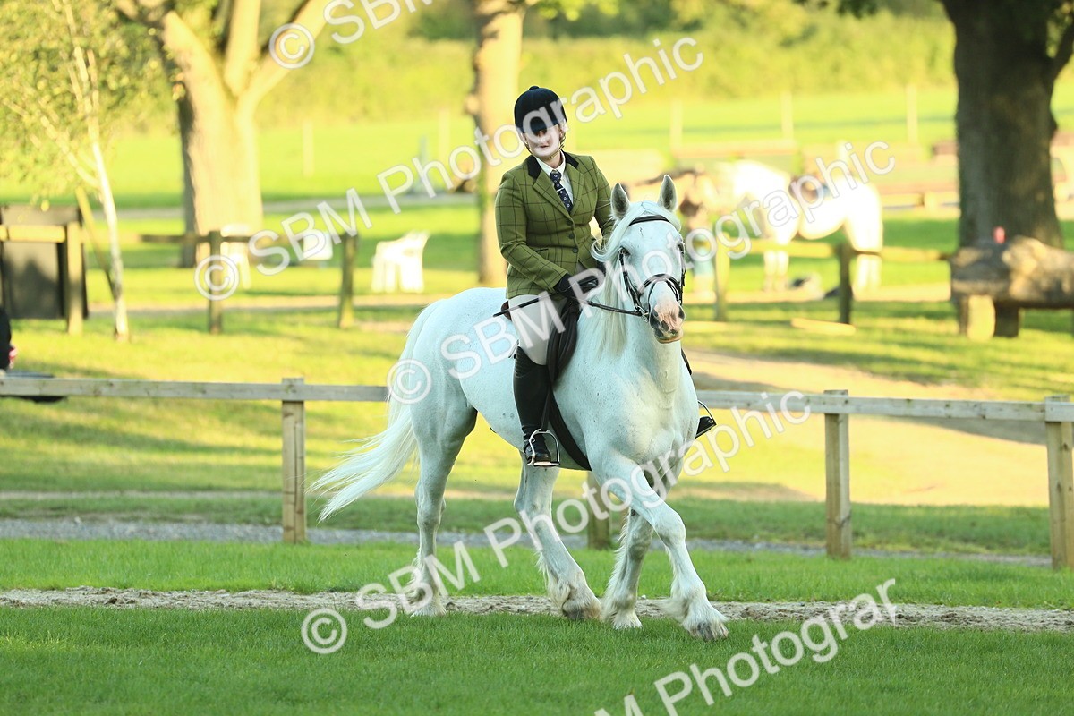 SBM_55614 - S14 - Riding Club Horse