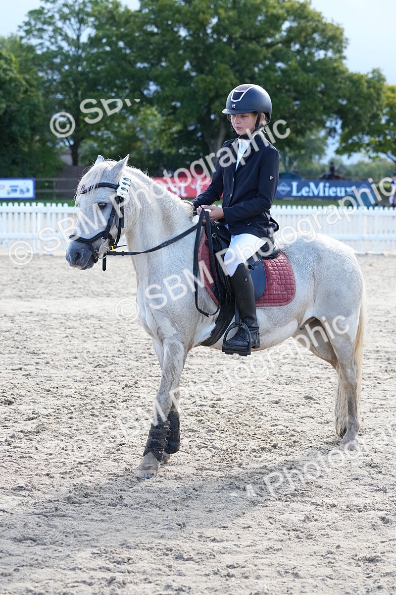 SBM_36406 - J5 - Junior Pony 50cm Championship