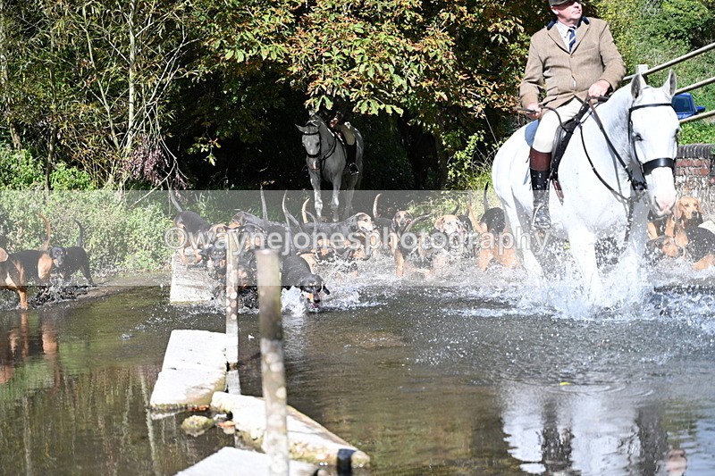 WJ7_5947 - Hounds Water Crossing