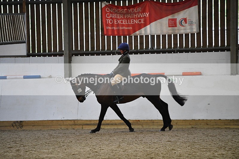 WJ5_7999 - Class 13 Ridden Part Breed