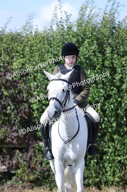 20250831-2510 - Class 16 - Family Pony