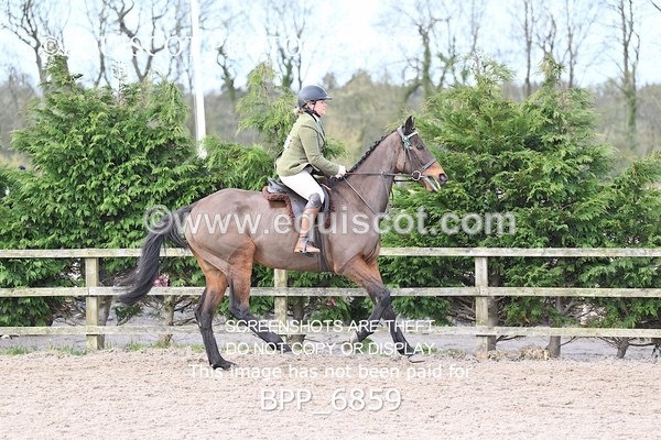 BPP_6859 - RING 1  (RIDDEN HORSES / IN HAND / VETERAN ETC)