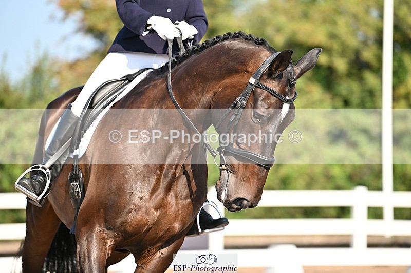 250816-091955-02591 - 112-Carmen.ShahAnnsfort.Lance