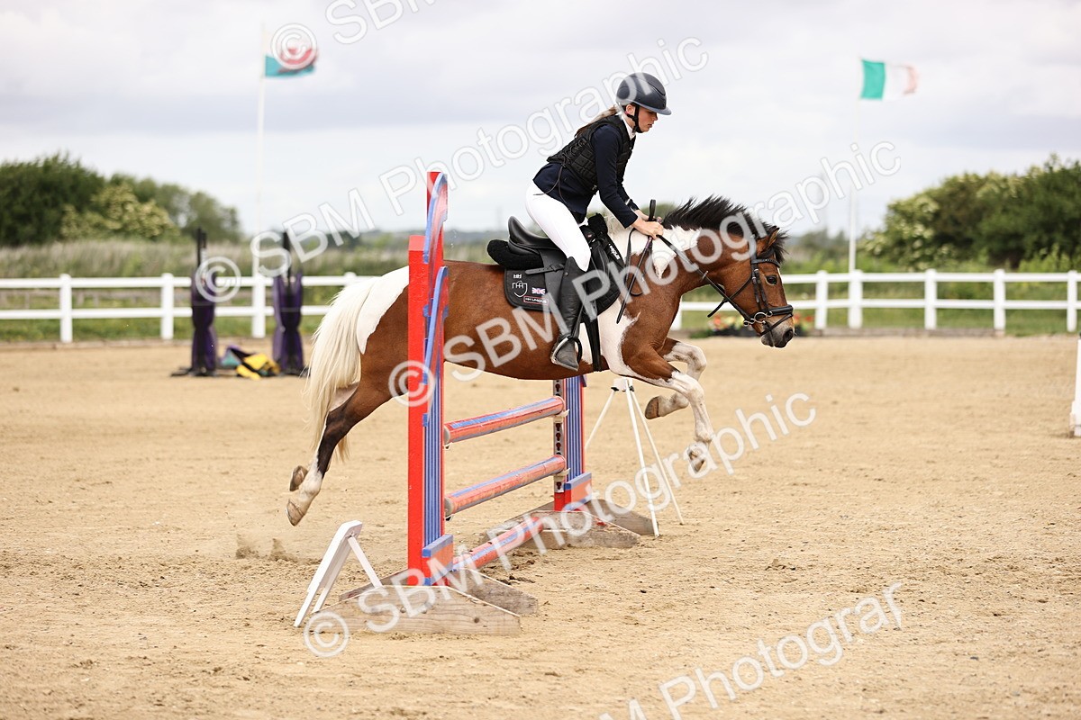 SBM_007069 - Class 2 - 80cm showjumping