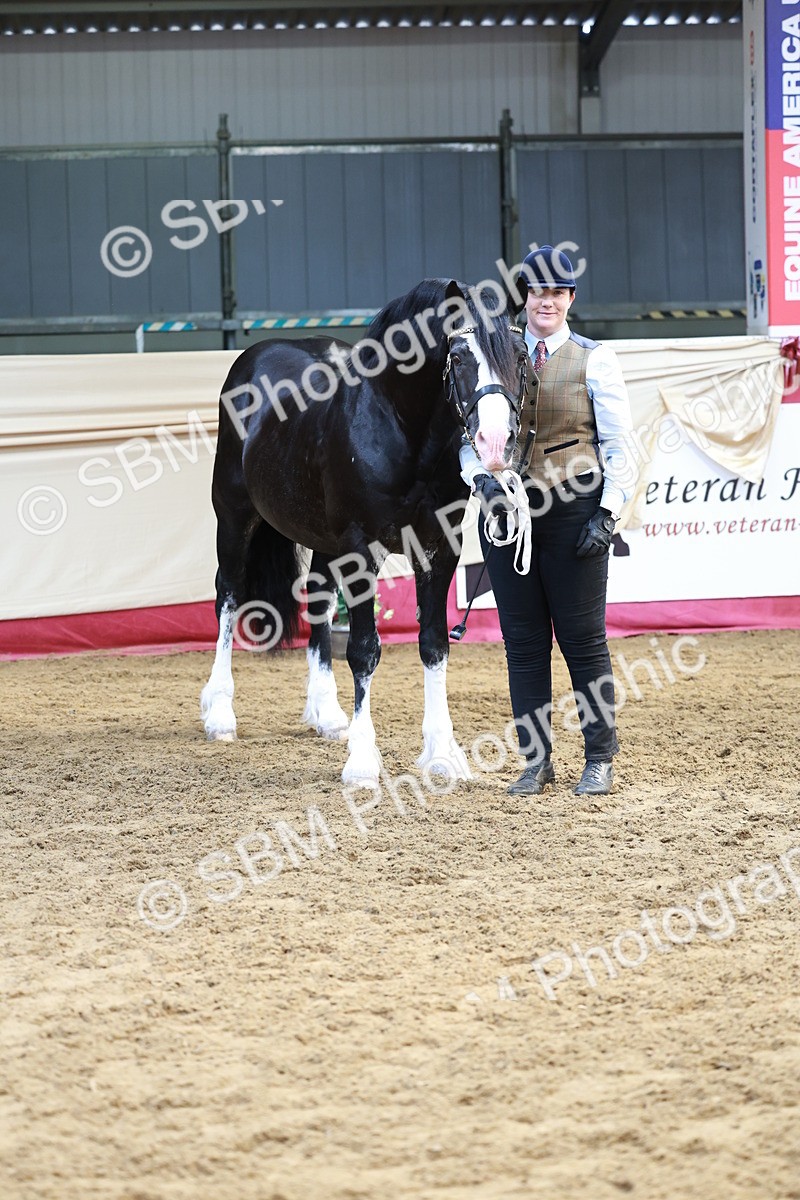 SBM_17541 - Class 951 - M&M IH Supreme Final