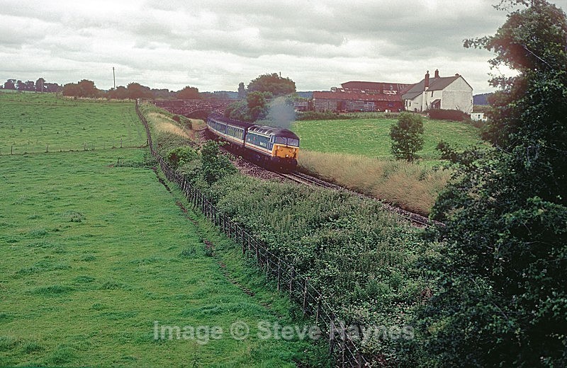 19th July 1991 - Feniton, Devon