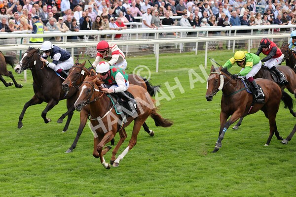 yr18082021r6-13 - Race 6 4.45pm IRE-Incentive It Pays To Buy Irish Stakes